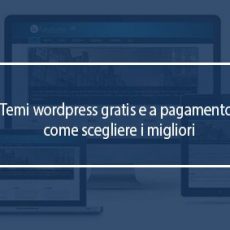 temi wordpress gratis pay