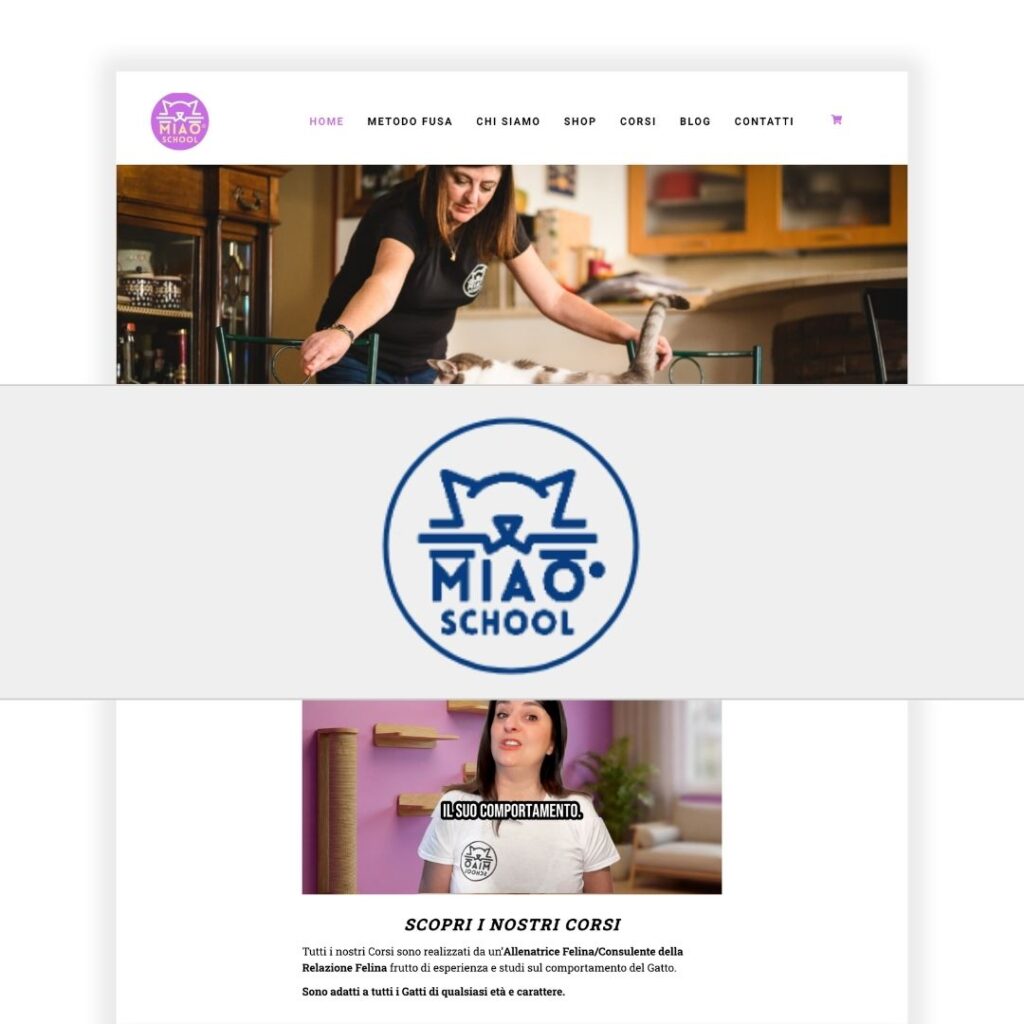 Miao School