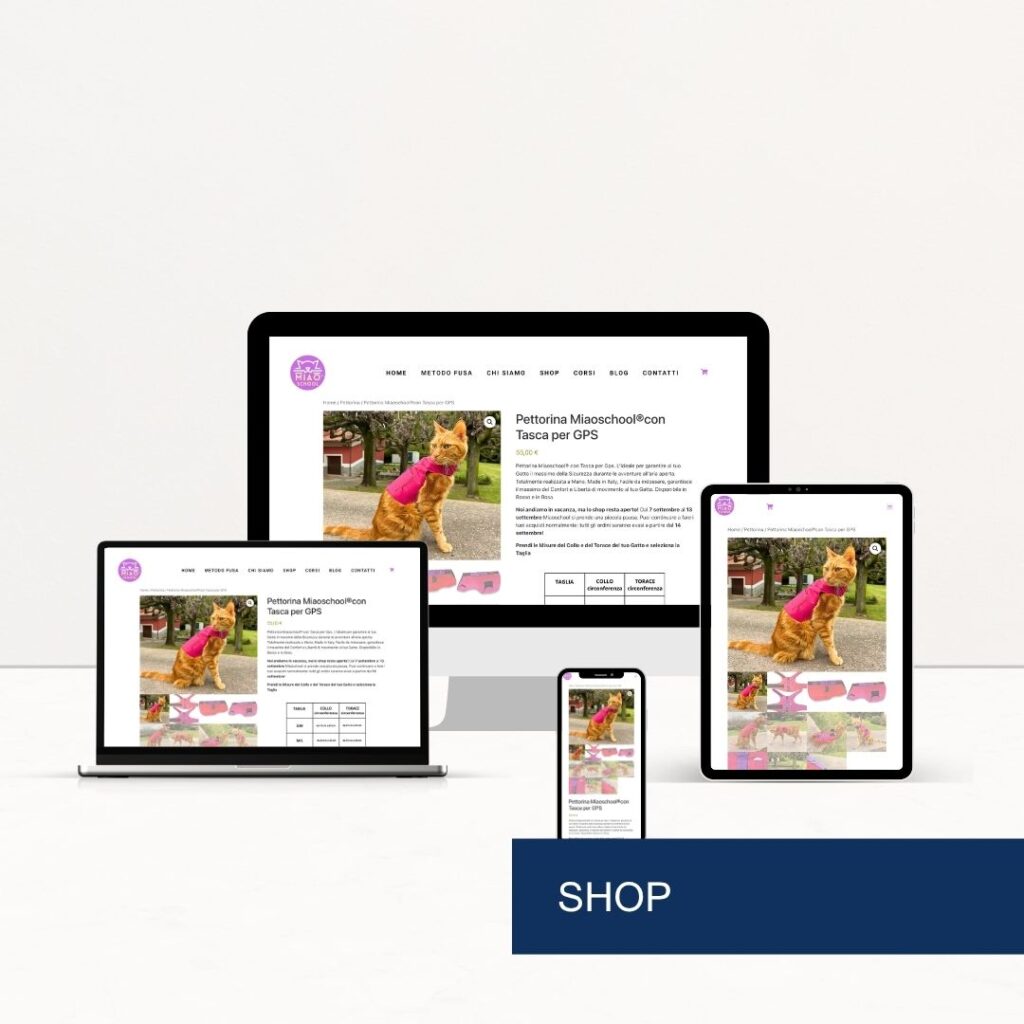 Shop Miao School