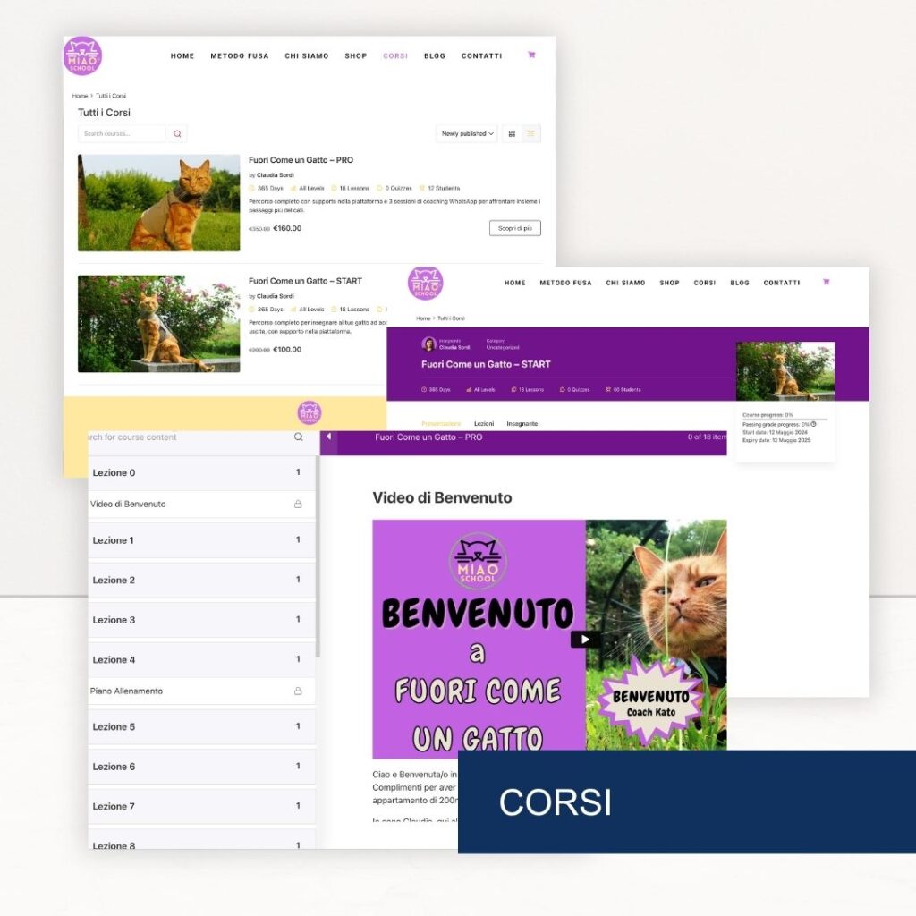 Piattaforma E-learning Miao School